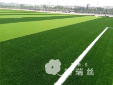 湖北咸宁高中人造草坪运动场