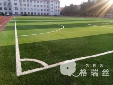 桃园县教师进修学校建了人造草坪运动场啦