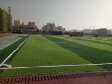 平果县足球场人造草坪竣工