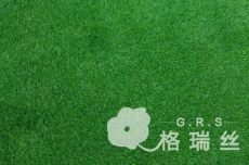 深圳外国语学院人造草坪运动场，格瑞丝收工