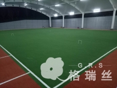 湖南省林业厅门球场人造草坪竣工