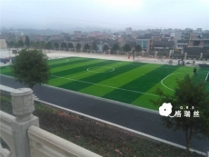 贵州三穗县某中学足球场人造草坪