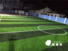 广州某足球场人造草坪竣工