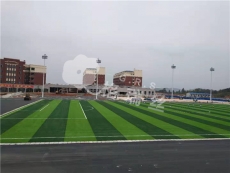人造草坪厂家：邵阳广益私立学校足球场人造草坪竣工
