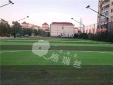 人造草坪厂家：广西龙州县五人制人造草坪足球场