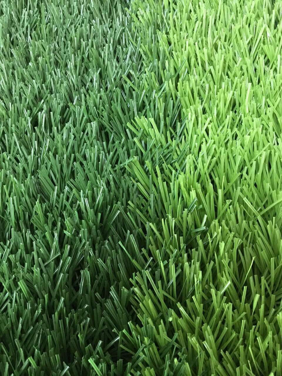 1469201369655183.jpg