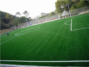 201204171837037098904.jpg