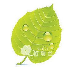 资质