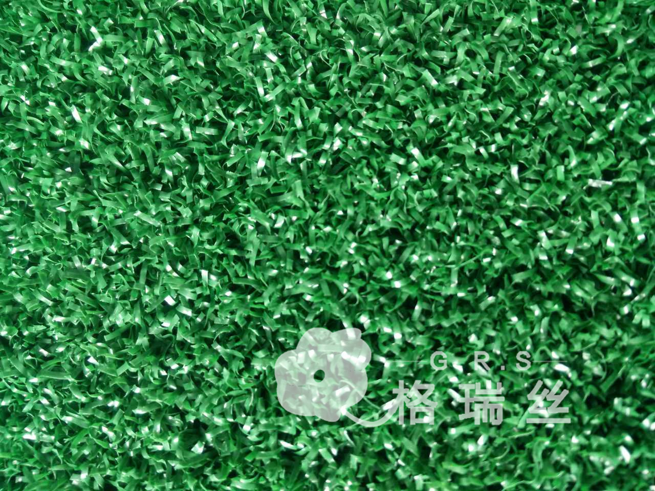门球草