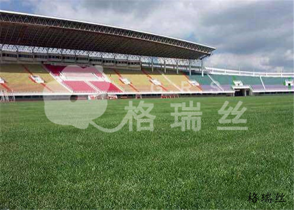 足球场人造草坪