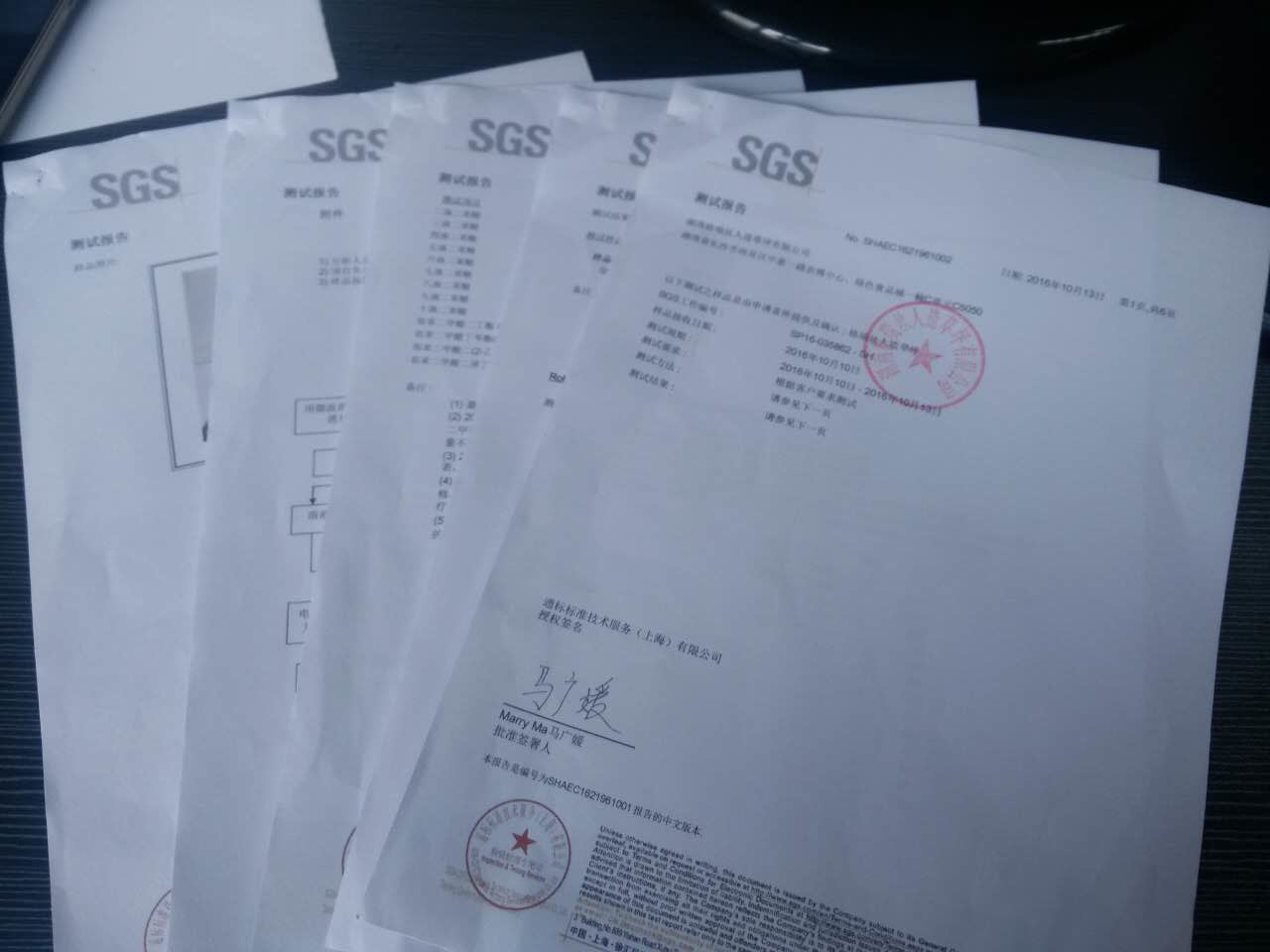 人造草坪SGS检测报告