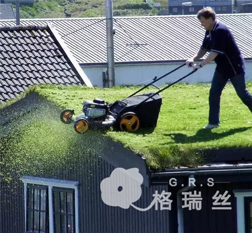 屋顶人造草坪