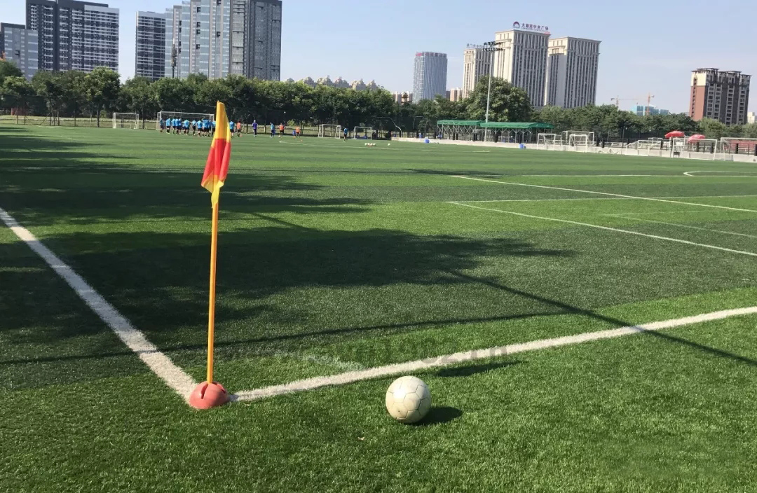 足球场人造草坪