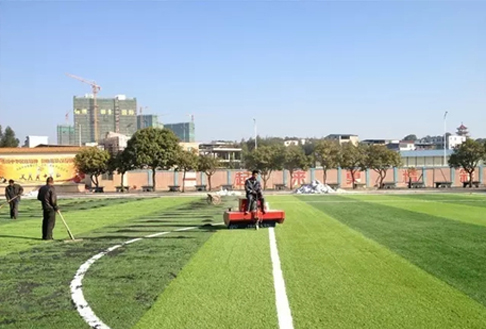 足球场人造草坪填充颗粒