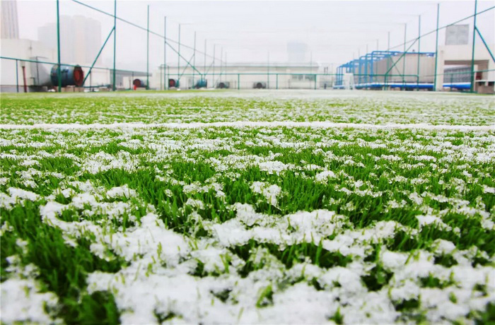 人造草坪积雪